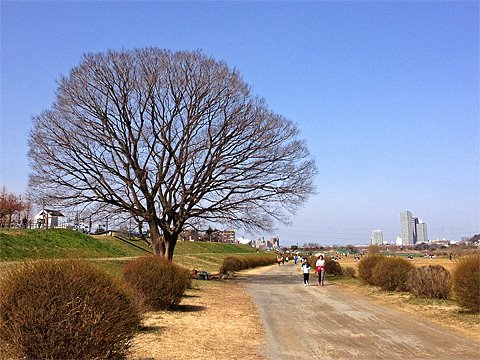 インターバル