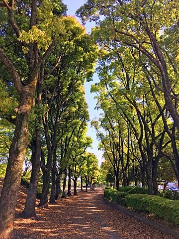 平和記念公園。日陰がありがたい。