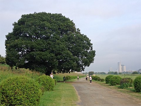 マスコミについて
