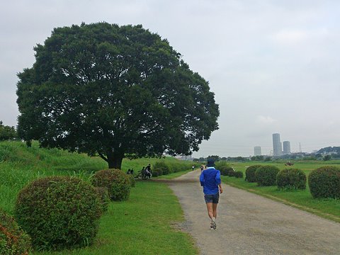 FNRMと週一ジョグ