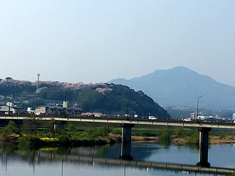 山の上の大分市立森岡小学校の桜。