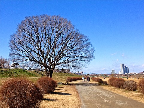 3時間30km走