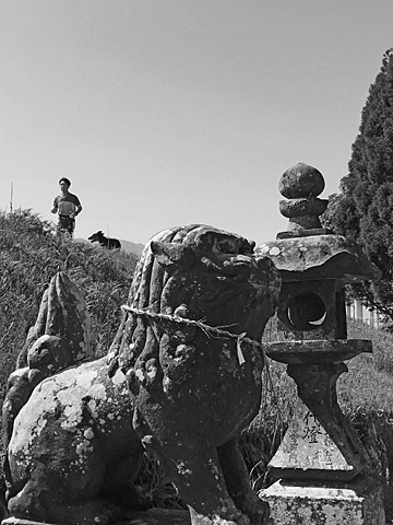 賀来神社の吽形の狛犬君。