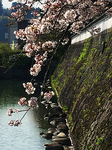 写真を撮りながら31km