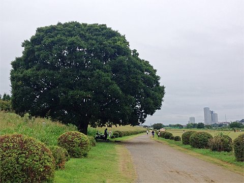 走り始めから疲労感