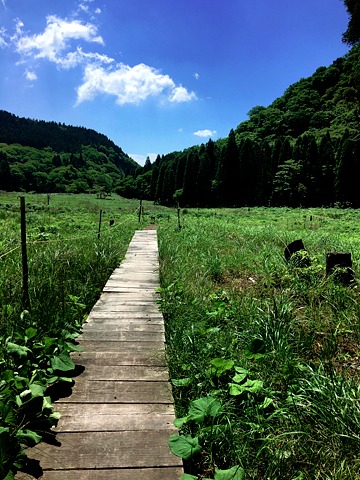 猪の瀬戸湿原
