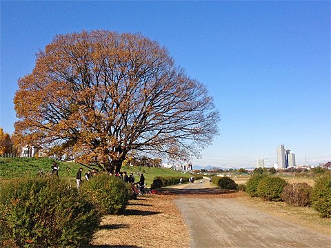 つくばのビデオをアップしました