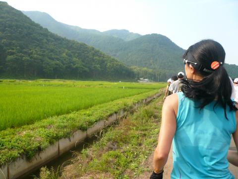 こんな田舎道を延々と走ります。