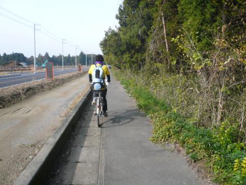 颯爽とつくばの道を走り抜けるきょんこさんの後ろをついて行き、振り返ると・・・