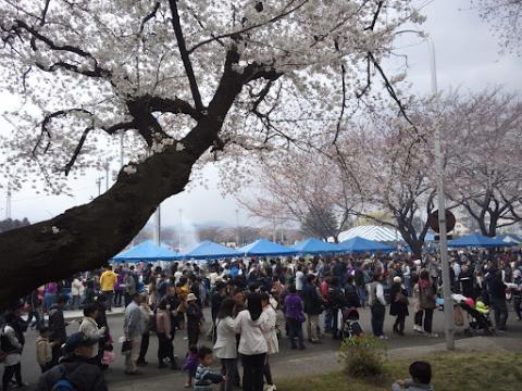 走り終わった後の桜祭り～