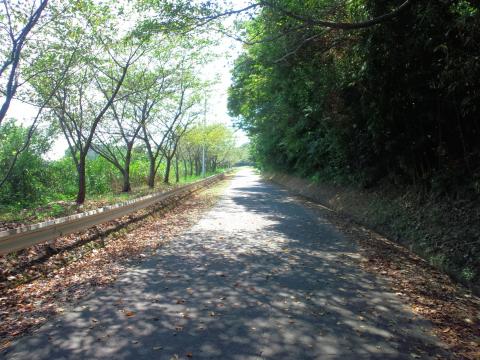 2.2km付近
このコースで一番好きな区間です。