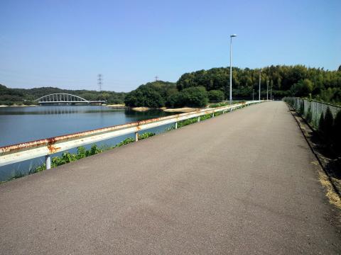2.6km付近(1/2)
ゴール地点までの直線区間、見通しも良く景色はいいのですが、この時期は影がないのであまり好きではありません(笑)