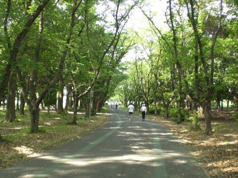 庄内緑地公園