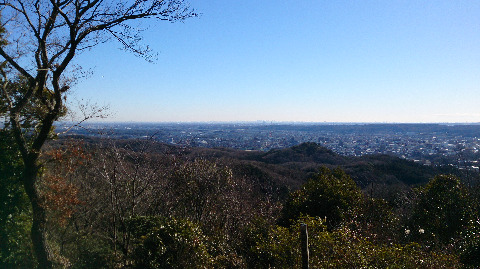 遠方にかすかに都心の高層ビル群とスカイツリー☆