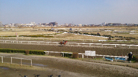 多摩川 30km走