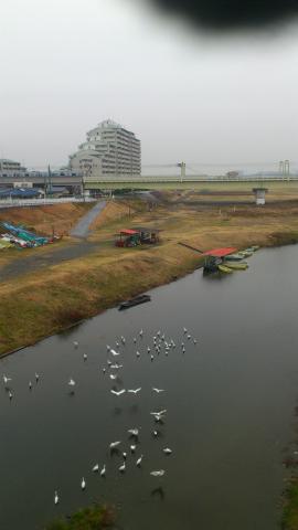 こちらが東京側
この家ともあと3日でお別れ