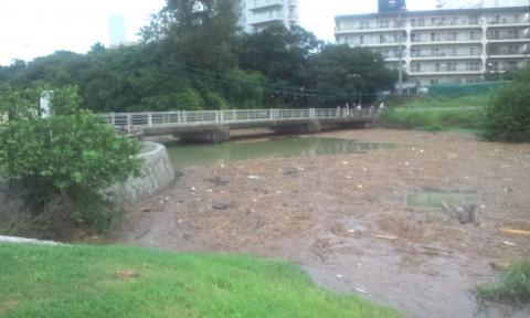 前の写真に写る中州に下りる
こちらは野川
もし、暖炉つきの別荘を持ってたら、こういう時こそ流木を集めて薪にするんだけどなあ