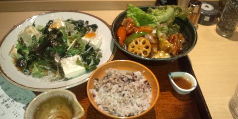 鶏の甘酢あんかけ、豆腐じゃこサラダ、五穀米ごはん(少なめ!)の3品
野菜たっぷり、彩り鮮やか、ボリュームたっぷり!
生ビールは我慢・・・