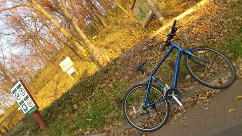 途中BIKEを下りて、府中の浅間山(せんげんやま)に登ってみました
