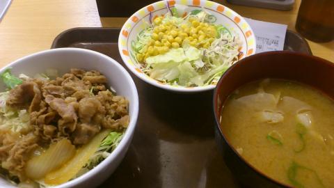 東京マラソンまでに3kg痩せたいな~
昨日のランチはすき家の「ヘルシー牛丼」
ご飯の代わりに、豆腐と野菜サラダの丼に具が乗っている。それにトン汁とサラダを追加
夕食も、ビーフンと煮物で400kcal!!!