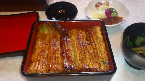 今日のランチは、マレーシアからの賓客を接待
日本橋いづもやの鰻、九州産のあっさりしたもので腹にもたれない