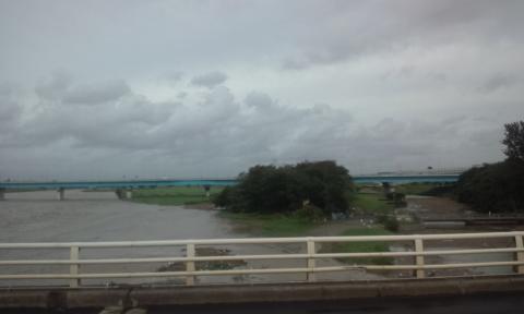 朝の二子橋
多摩川の流木が右から合流する野川に逆流している