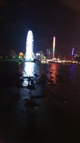 池のほとりに鴨?が群生
真っ暗だけど、まだ夕方5時です
