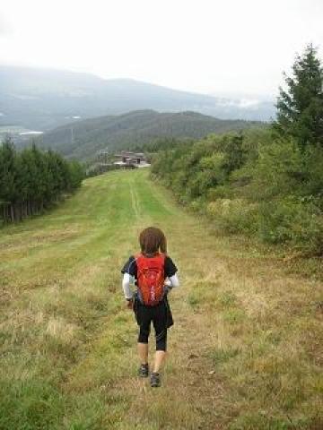 36.5km地点
このゲレンデ、段ボールそりで滑ったら1分
僕は横歩きで10分、何人にも抜かれました・・・
(この写真は3年前の大会の様子を書いたブログから拝借)