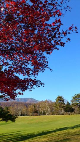 絶好のラン日和(?)に芝刈りをしておりました
雲ひとつない快晴
一昨日は氷点下だったそうだが、今朝は4℃くらい