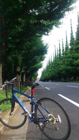 神宮外苑銀杏並木
高校時代の陸トレ場所
この雰囲気が好きで、時折立ち寄ります