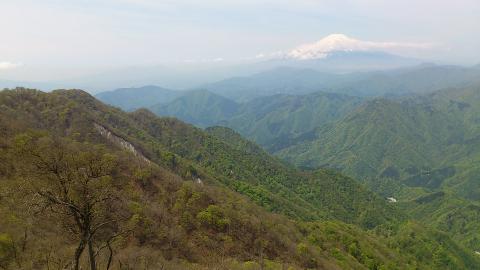 檜洞丸(1601m)から西側の景色
新緑のグラデーションが見事
富士の裾野に山中湖がちらり