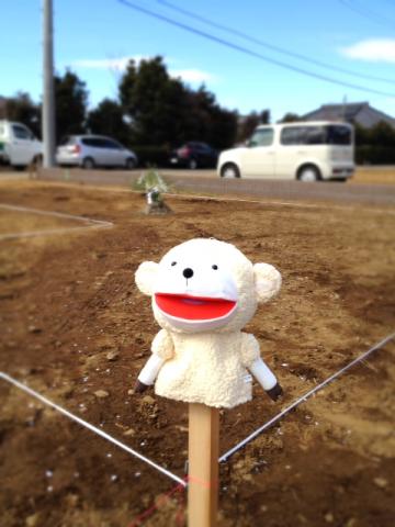 おみやげにホームメーカーから貰ったラムパペットくん(我が家は三階建てでも二世帯でもありませんが)。
地縄を張ると家がとっても狭くみえます。大丈夫かな。
