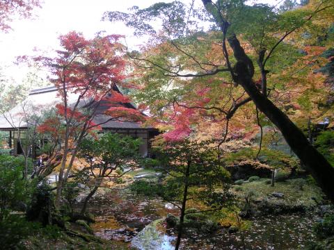 紅葉見にいこうよう