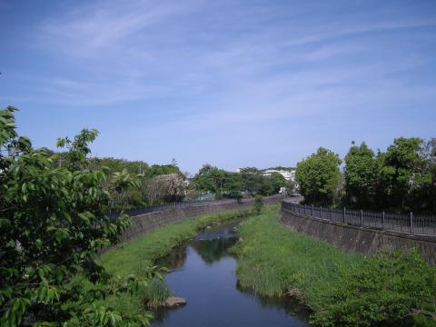 いたち川朝ラン　風景写真など撮りながらゆっくり