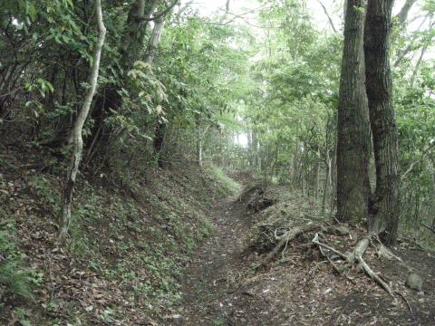 こんなんだとちょっと走りにくい。全く走ることが出来ない山道も結構多く、へっぴり腰でこわごわ下りてきました。