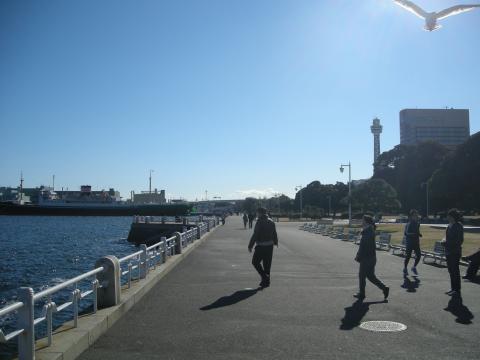 山下公園。氷川丸、横浜マリンタワーも見えます。