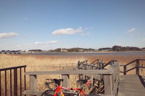 手賀沼はとんでもなく北風が強かった。ここでも何度もBIKEが倒れた。