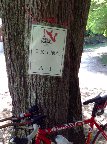 6/1のレースの案内