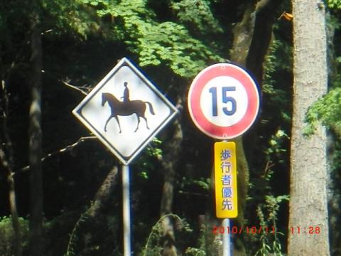 馬も走るんだ。