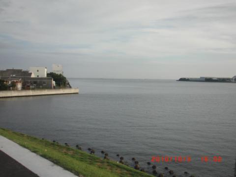 待望の江戸川河口