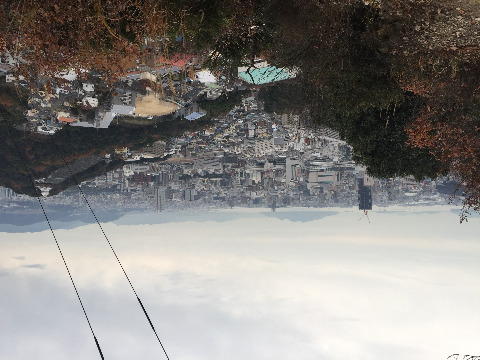 尾長山山頂から!