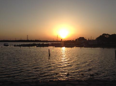 毎度心洗われる、手賀沼の夕日。