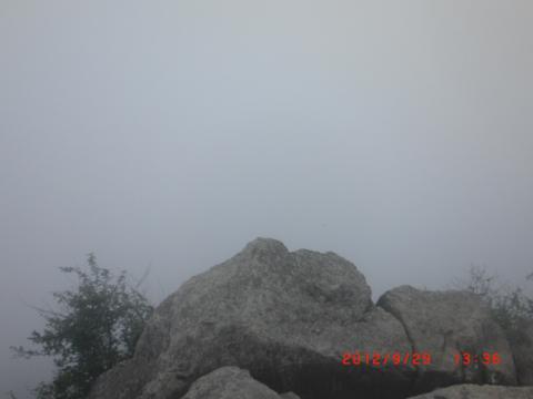 山頂は雲の中@@