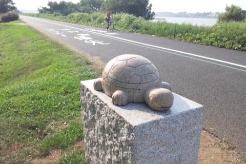 亀さんだって暑い！！