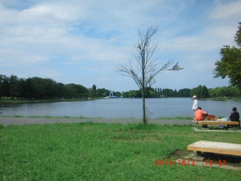 水元公園はほんと広い。