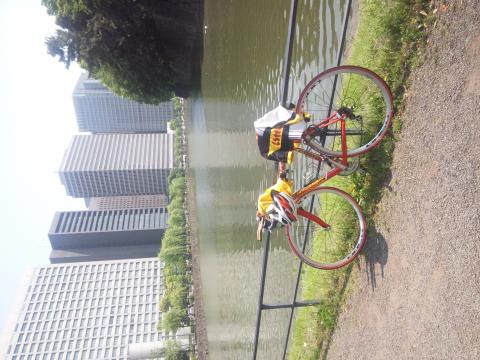 B44+R19+B33