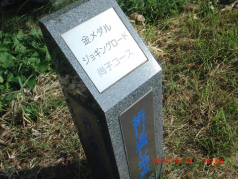初の印旛沼サイクリング