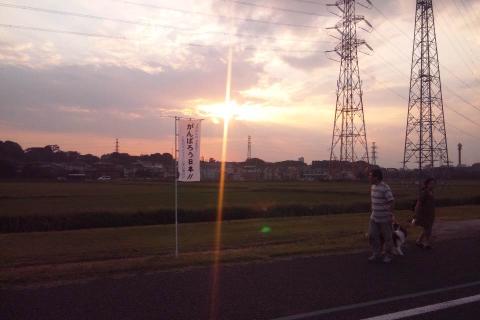 間もなく夕方。散歩の人も沢山。