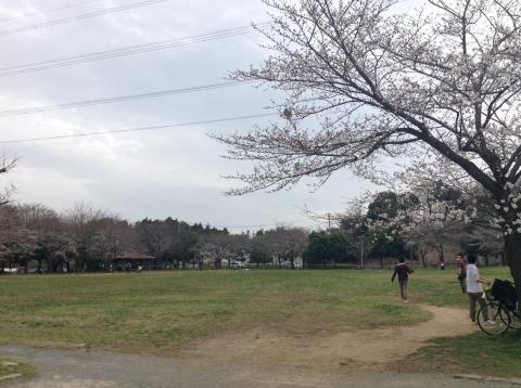 柏ふるさと公園は家族連れで賑わっていた。