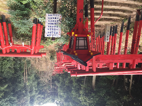 東照宮裏の鳥居。伏見稲荷みたいなところ。ここを登って二葉山山頂へ。